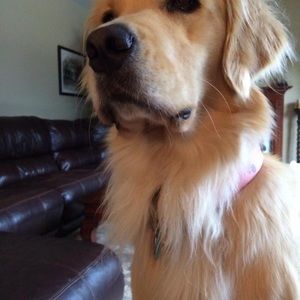 Meet your Posher, Margaret